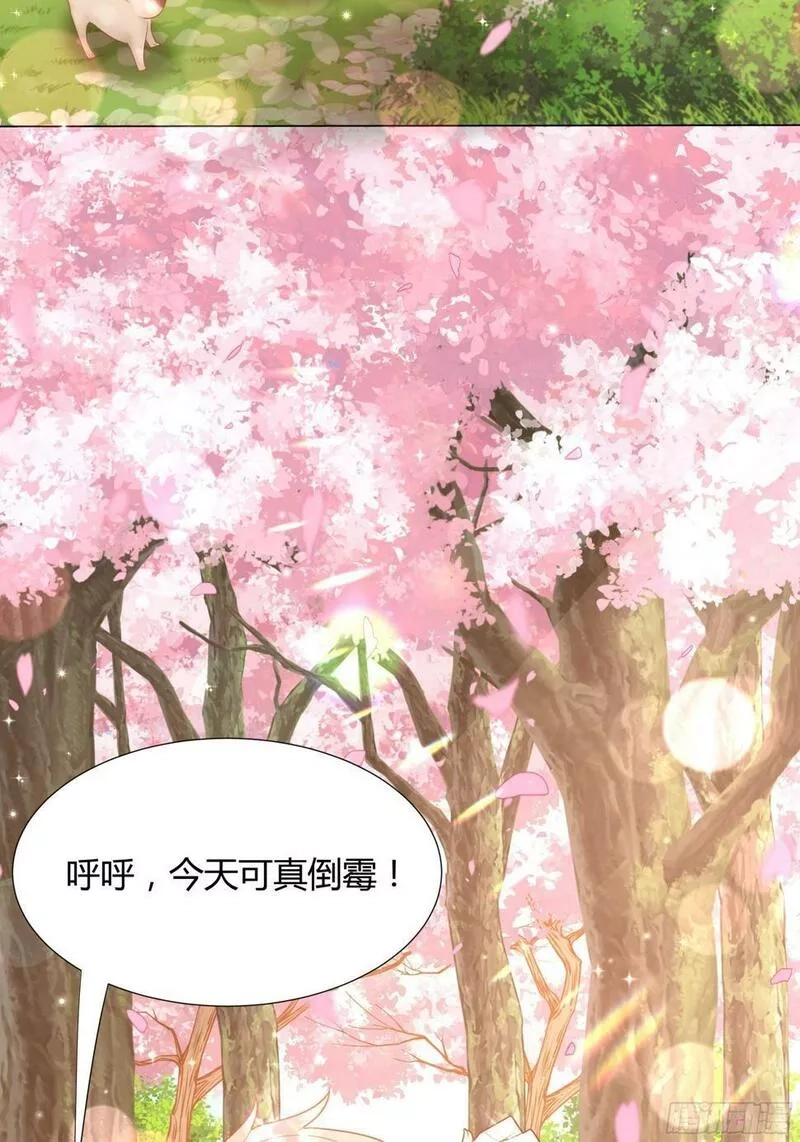 仇敌之子总是撩我怎么办？,29 樱花树林,第38张